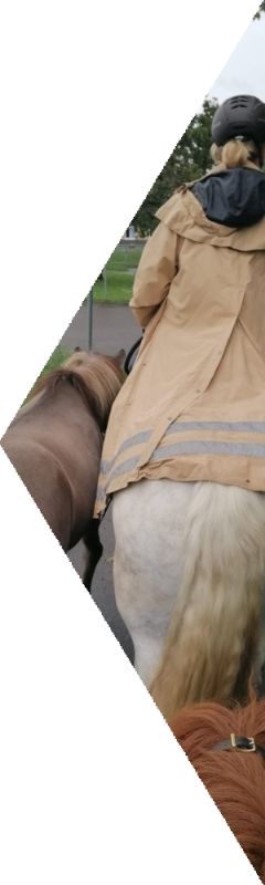 Therapeutisches Reiten in Reutlingen auf dem Hagwiesenhof, Person auf Pferd beim Ausreiten